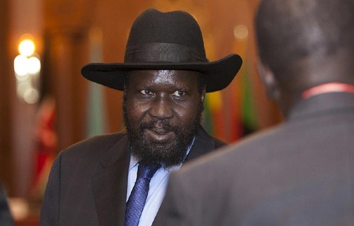 Faint hope for an end to South Sudan's 15-month old civil - ảnh 1